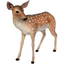小鹿 Fallow Deer Fawn 強化プラスチック(FRP) アートオブジェ リアル アニマル 置物 かわいい シカ 軽い フィギュア 動物 像 軽量 し...