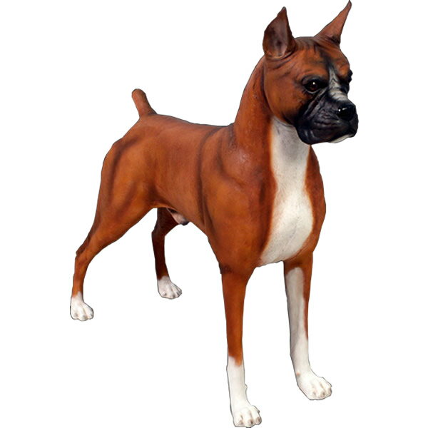 ボクサー Boxer 強化プラスチック (FRP) アートオブジェ 犬 置物 ガーデン オーナメント 庭 玄関 外 実物大 動物 像 映える フィギュア ガーデ...