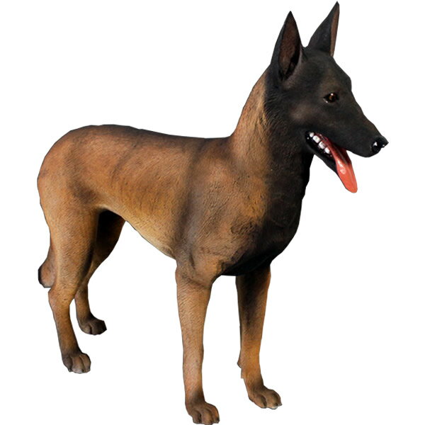 ベルギー犬 Belgian Malinois 強化プラスチック (FRP) アートオブジェ リアル 犬 置物 玄関 外 実物大 ガーデニング 映える 動物 像 ...