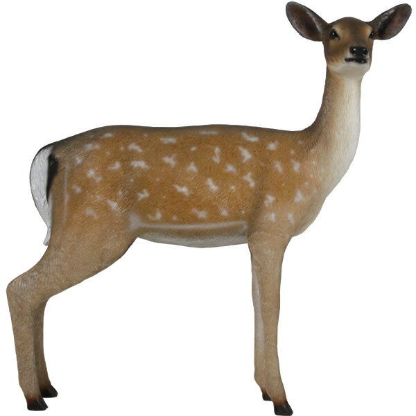 雌のダマジカ Fallow Deer Doe 強化プラスチック(FRP) アートオブジェ 実物大 体長約1m18cm 動物 像 フィギュア アニマル ファロージ...