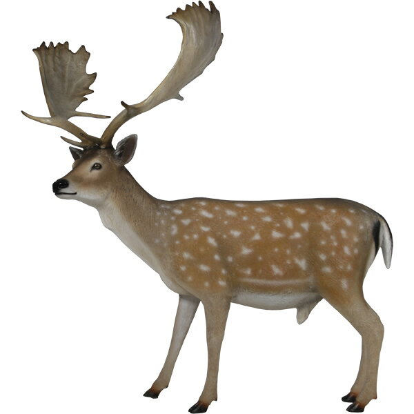 雄鹿 ダマジカ Fallow Deer Buck 強化プラスチック(FRP) アートオブジェ 実物大 ファロージカ 体長約1m69cm 動物 像 大型 置物 フ...