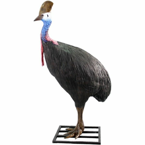 ヒクイドリ雌(メス) Cassowary Female 強化プラスチック (FRP) アートオブジェ リアル 実物大 ガーデニング オーナメント 鳥 置物 動物...
