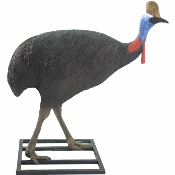 ヒクイドリ雄(オス) Cassowary Male 強化プラスチック (FRP) アートオブジェ リアル 鳥 置物 実物大 ガーデニング オーナメント 映える ...