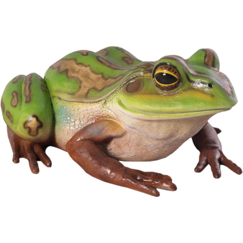 FRPアニマルオブジェ 親キンスジアメガエル Giant Green and Golden Bell Frog リアル 動物 像 かえる 巨大 置物 蛙 フィギ...