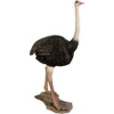 ダチョウ Ostrich 強化プラスチック (FRP) アートオブジェ リアル 大きい 高さ約2m13cm だちょう 鳥 置物 ガーデニング オーナメント 実物...