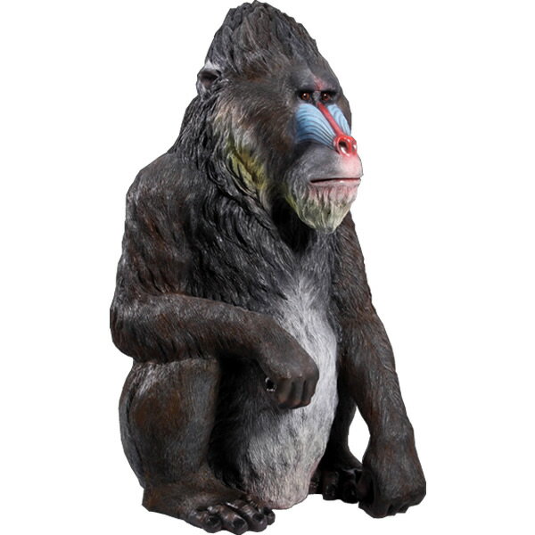 FRPアニマルオブジェ マンドリル Mandrill 動物 像 置物 インテリア ガーデニング オブジェ リアル 猿 かわいい サル 動物園 店舗 カフェ 喫茶...
