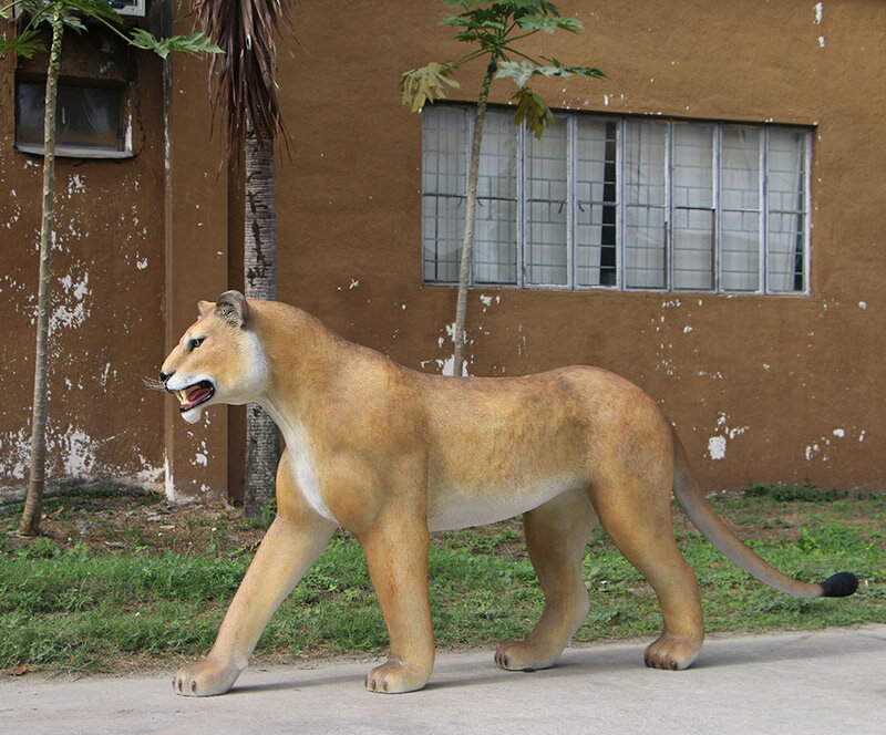 FRPアニマルオブジェ 歩く雌ライオン Walking Lioness 動物 像 リアル 置物 実物大 らいおん 大きい フィギュア 動物園 ガーデニング オー...