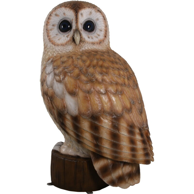 褐色のフクロウ Tawny Owl 5ft. 強化プラスチック (FRP) アートオブジェ リアル 大きい 梟 高さ約1m54cm ガーデニング オーナメント ...