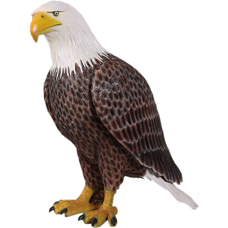 大きなハクトウワシ アメリカンイーグル American Bald Eagle 強化プラスチック (FRP) アートオブジェ リアル 置物 実物大 わし ガーデ...