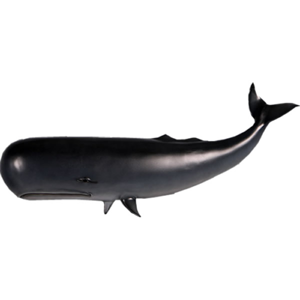 FRPアニマルオブジェ 小型版 壁掛けクジラ Whale Wall Decor リアル くじら 壁付け ウォール オーナメント 置物 フィギュア 壁面 インテリ...