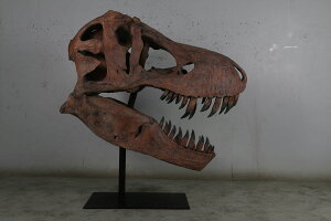 FRPアートオブジェ ティレックスの頭骨 Giant T-Rex Skull リアル 実物大 ティラノサウルス スカル 標本 置物 フィギュア 博物館 骸骨 店舗 カフェ 喫茶店 レストラン 飲食店 インテリア 等身大 屋外 動物園 室内 イベント ディスプレイ fr180150