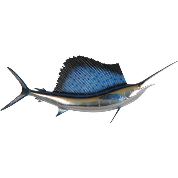 FRPアニマルオブジェ 芭蕉カジキ Sailfish 5ft. リアル 魚 インテリア 置物 バショウカジキ オーナメント 大きい 芭蕉梶木 水族館 マグロ 動...