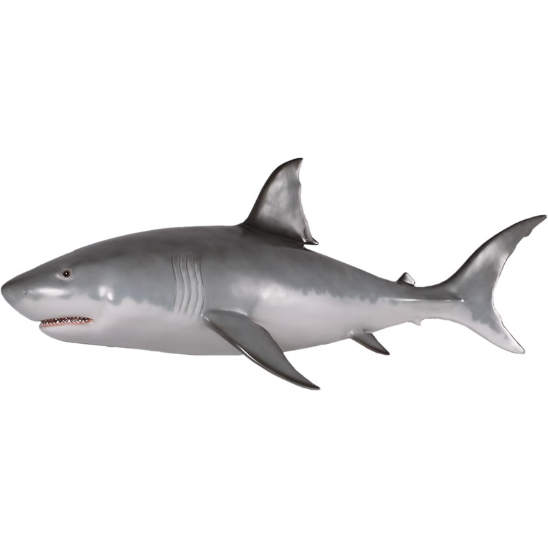 FRP˥ޥ륪֥ ɳݤۥۥ Great White Shark ꥢ  ʪ  ʥ ե奢  ƥꥢ ʪ...