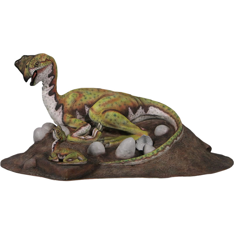 FRP恐竜オブジェ オヴィラプトル Oviraptor Nest リアル 置物 実物大 フィギュア 中生代白亜紀後期 小型獣脚類 卵泥棒 大きい 標本 博物館 ...