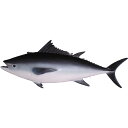 FRPアニマルオブジェ 本マグロ Tuna Fish リアル まぐろ 大きい インテリア 置物 実物大 鮪 オーナメント 水族館 魚 動物 像 フィギュア 等身...