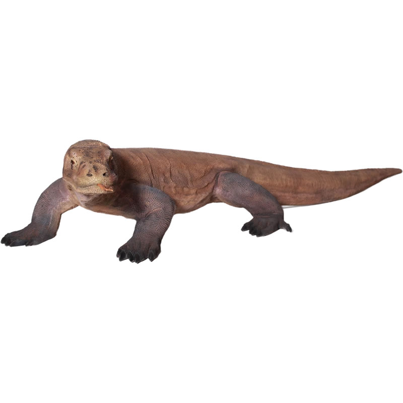 楽天市場】コモドドラゴン コモドオオトカゲの通販 楽天市場】コモドドラゴン コモドオオトカゲの通販