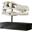 FRP恐竜オブジェ ラプトルの頭骨 Raptor Skull on Base 高さ約42cm 実物大 置物 リアル スカル 肉食恐竜 白亜紀 獣脚類 骸骨 標本...