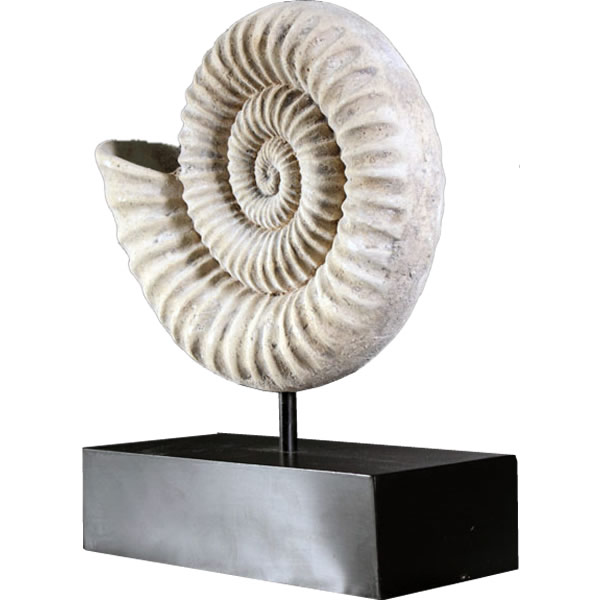 FRP恐竜オブジェ オウムガイの殻(小) Nautilus Shell 高さ約25cm リアル 鸚鵡貝 軟体動物 置物 標本 博物館 実物大 フィギュア 店舗 ...