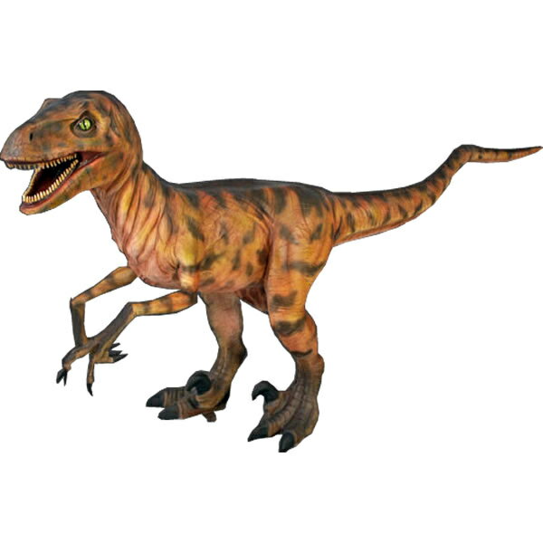 FRPε֥ ǥΥ˥ Deinonichus Ĺ2m87cm ꥢ ʪ ʪ ε 򰡵 õ ɸ ʪ  ե奢 Ź...