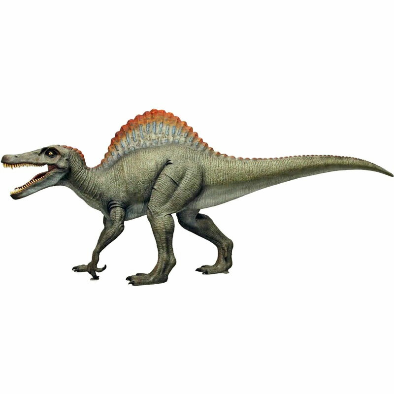 FRP恐竜オブジェ スピノサウルス Spinosaurus 実物大 体長約5m31cm リアル 肉食恐竜 置物 白亜紀 獣脚類 標本 博物館 巨大 フィギュア ...