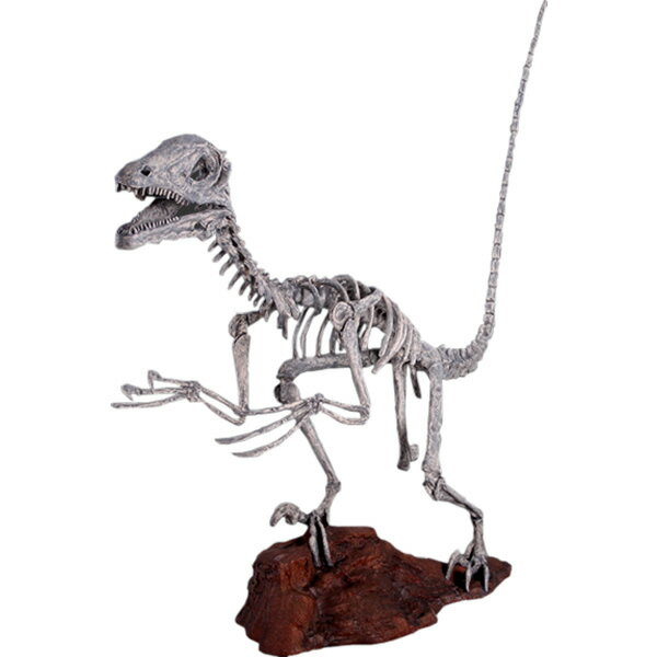 FRP恐竜オブジェ ディノニクス スケルトン Deinonichus Skeleton 置物 リアル 肉食恐竜 骸骨 白亜紀 獣脚類 実物大 骨 フィギュア 大...