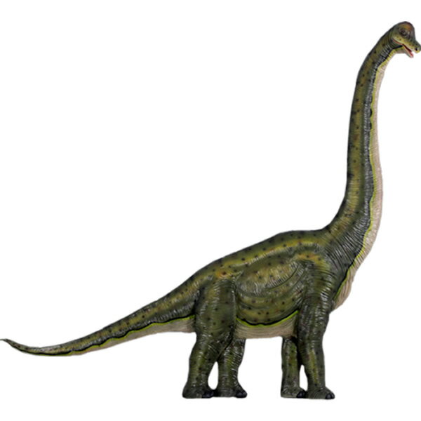 FRPε֥ ɳݤ֥饭륹 Brachiosaurus Wall Decor ꥢ  ʪ 鵪 𿩶ε ε 礭 ʪ ...