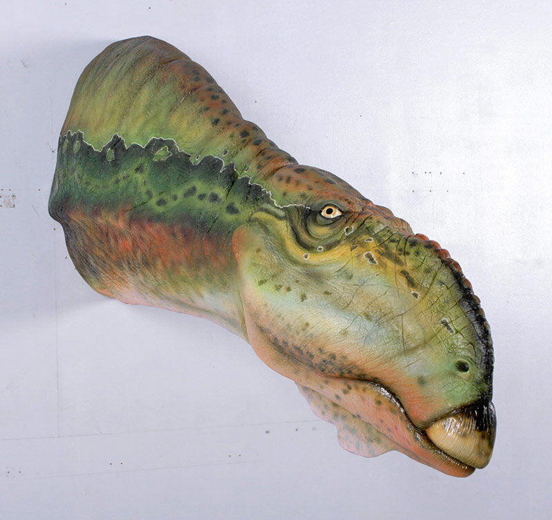 FRP恐竜オブジェ ムッタブラサウルスの頭部 Muttaburrasaurus Head 壁面 リアル 置物 実物大 フィギュア 白亜紀 草食恐竜 鳥脚類 大き...