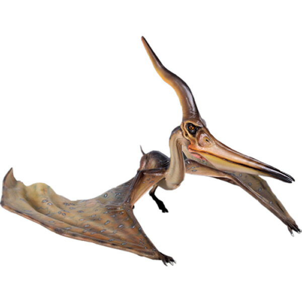 FRP恐竜オブジェ プテラノドン 144cm Pteranodon Ingens 翼竜類 リアル 置物 白亜紀 実物大 フィギュア 大きい 店舗 インテリア 庭...