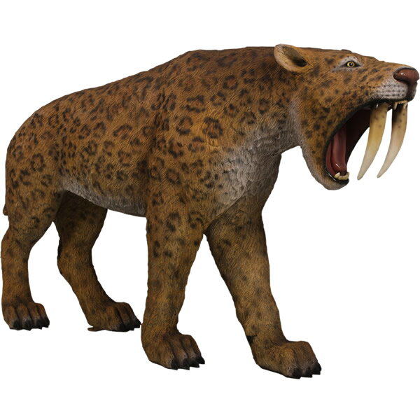 FRP恐竜オブジェ サーベルタイガー Smilodon - Saber-toothed Cat 置物 肉食恐竜 スミロドン リアル 大きい 実物大 虎 フィギュ...