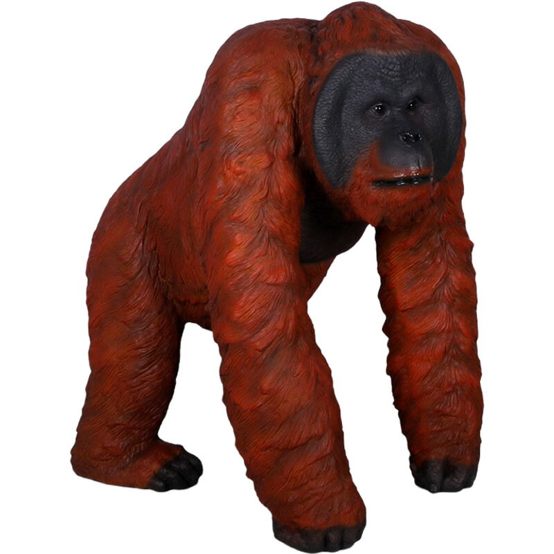 ⤯󥦡 Walking Male Orangutan ꥢ ˥ޥ ʪ ưʪ   ǥ˥ ʥ ʪ   ƥ...
