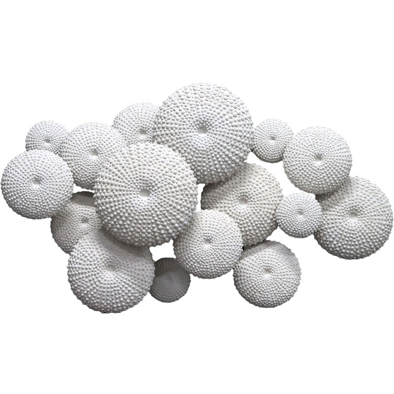 FRP(繊維強化プラスチック)オブジェ ウニの抜け殻壁掛けアート Sea Urchin Wall Decor リアル 雲丹 壁面 オーナメント 置物 フィギュア...