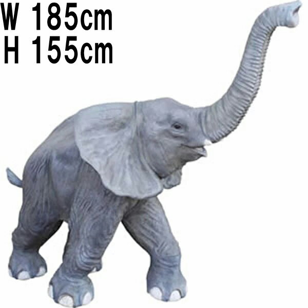 FRP˥ޥ륪֥ ɡ⤯ͤ夲ҥ ꥢ 襤 ե ưʪ    ե奢 ʪ  礭 ʪ ǥ˥ ...