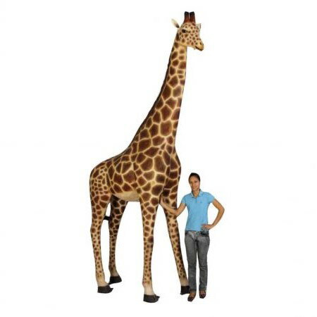 FRPアニマルオブジェ 親キリン Giraffe 12Ft. リアル 実物大 動物 像 麒麟 フィギュア きりん 大きい 置物 等身大 ガーデニング オーナメン...