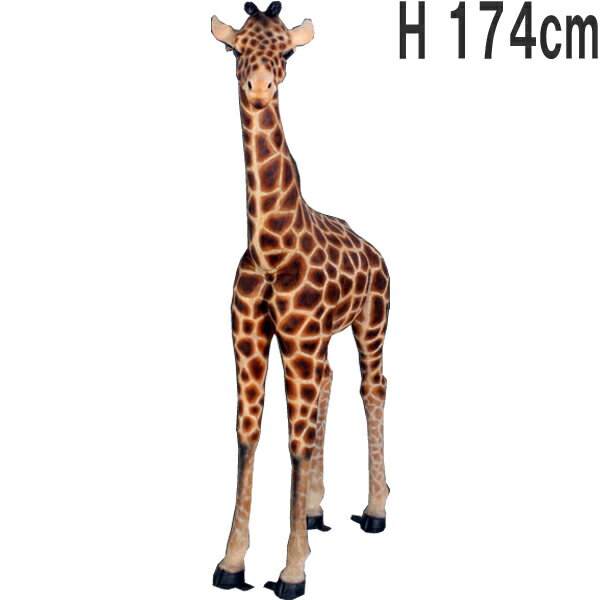 FRP˥ޥ륪֥ ֤ Baby Giraffe 6ft. ꥢ 襤 ưʪ  ʪ   礭 ե奢 ưʪ Ź ...
