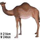 FRPアニマルオブジェ 雌のひとコブラクダ Dromedary Camel - Female リアル らくだ 動物 像 置物 ガーデニング オブジェ 動物園 店...