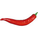 唐辛子 70cm Chilli Pepper 強化プラスチック(FRP) アートオブジェ インテリア 店舗 ディスプレイ おしゃれ 飾り 長さ約70cm 大型 ...