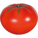トマト Tomato 強化プラスチック(FRP) アートオブジェ インテリア 店舗 ディスプレイ おしゃれ 飾り 直径約45cm 大型 装飾 ガーデン 樹脂製 ...