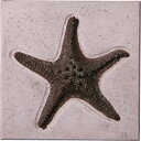 壁掛けアート・ヒトデ・ブロンズ仕上げ Starfish Wall Plaque 強化プラスチック(FRP) アートオブジェ 壁面 パネル ディスプレイ 51cm...
