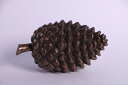松ぼっくり 小型 Pinecone 強化プラスチック(FRP) アートオブジェ インテリア ディスプレイ 高さ約28cm 店舗 装飾 ガーデン 飾り おしゃれ オーナメント 樹脂製 高強度 イベント 公園 fr150183(3)