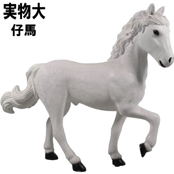 FRP˥ޥ륪֥ Ϥ Horse 4H - Stap White  ưʪ  襤  ꥢ ʪ  ʪ ǥ˥ ...