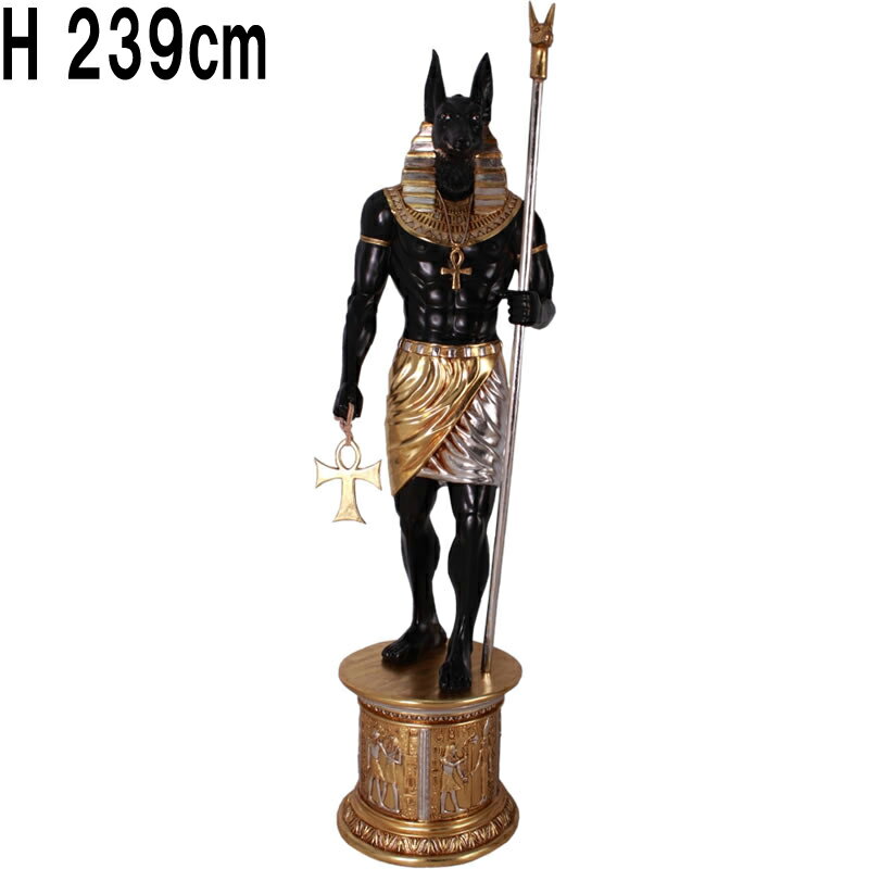 奨ץȻԤο̥ӥ ANUBIS 6FT. W& BASE S&G ץ饹åFRP ȥ֥ ⤵2m39cm ץȿ ϵ...