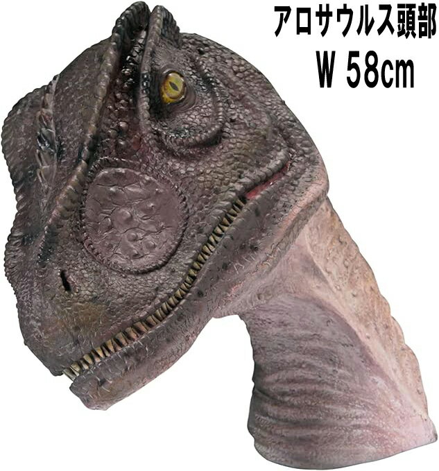 FRPε֥ 륹Ƭ Allosaurus Head ⤵32cm ꥢ ʪ ε ե奢 鵪 õ ɸ ʪ ʪ...