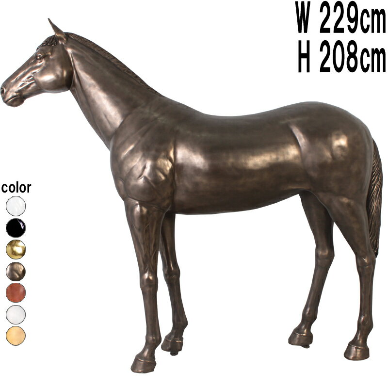 FRP˥ޥ륪֥ ԤΩ ֥ ꥢ ưʪ  礭  ʪ ʪ ե奢 ưʪ ǥ˥ ʥ  Ź...