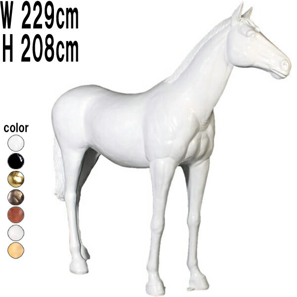 FRP˥ޥ륪֥ ԤΩ ۥ磻ȡʸ ʪ  ưʪ  ꥢ ʪ ե奢 ưʪ ƥꥢ ǥ˥ ʥ...