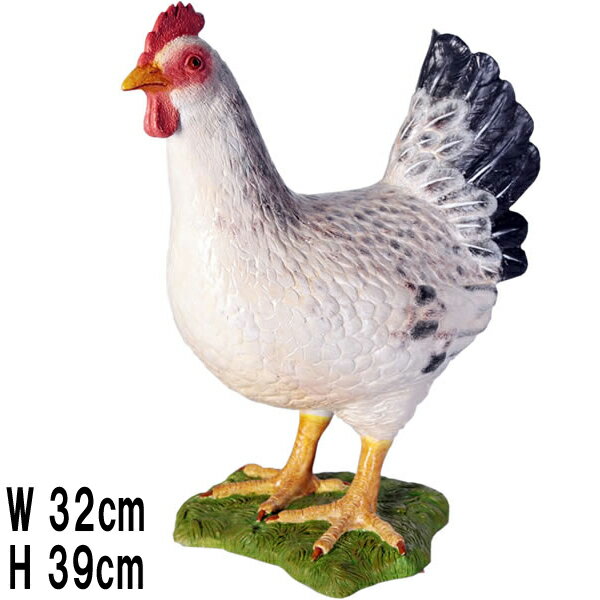 򤤻Ļ Hen White ץ饹å (FRP) ȥ֥ ꥢ  ʪ ʪ ǥ˥ ʥ Ǥ ˥ȥ   ...