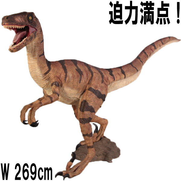 FRPε֥ ץȥ Velociraptor ⤵1m57cm ꥢ ʪ ε ƥꥢ 򰡵 ε õ ɸ ʪ ...