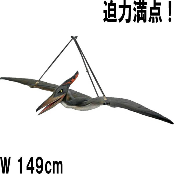 FRP恐竜オブジェ ベビープテラノドン Baby Pteranodon 翼幅約1m49cm リアル 翼竜類 白亜紀 標本 博物館 かわいい 軽い 置物 実物大 ...
