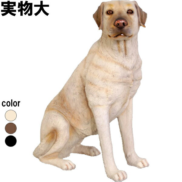 򤹤֥ɡ Sitting Labrador ץ饹åFRP ȥ֥ ưʪ   ʪ ʪ ե奢 Ǥ ...