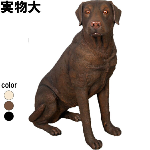 򤹤֥ɡ ֥饦 Sitting Labrador ץ饹å(FRP) ȥ֥ ưʪ   ʪ    ǥ ...