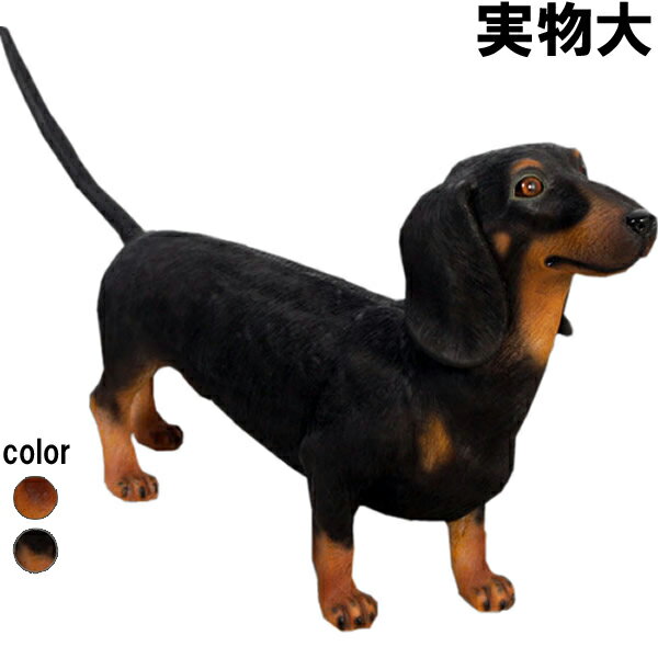 ダックスフンド(ブラック) Dachshund 強化プラスチック (FRP) アートオブジェ 犬 置物 リアル 実物大 ガーデニング 映える 玄関 外 動物 像...